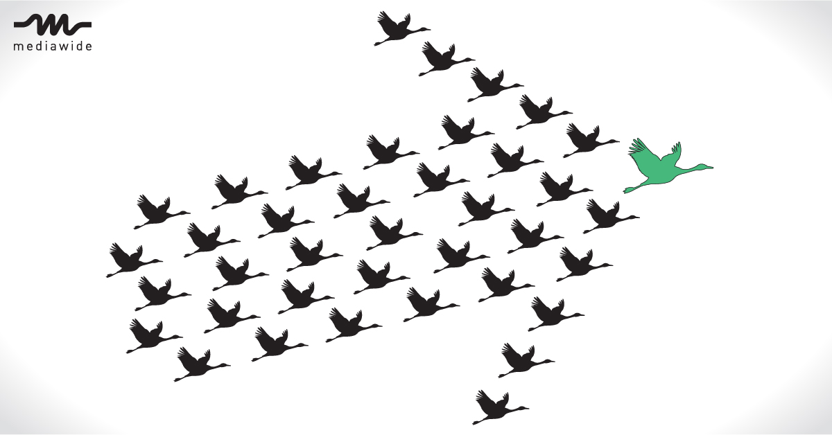 National-to-Local Synergy in Distributed and Multi-Channel Marketing