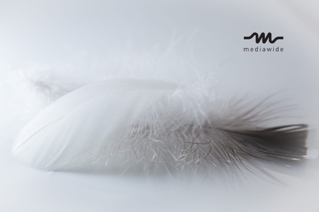 The Future of Marketing: Lightweight, Interactive, Personalized Videos.