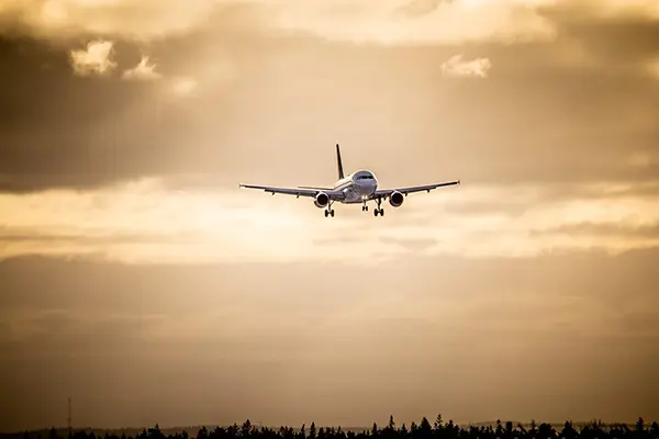 Commercial airplane flying toward the viewer during landing phase, silhouetted against a golden, cloud-filled sky with a treeline in the horizon, evoking a serene aviation moment.